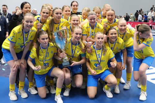 20240511 Fin SWEFIN 0605