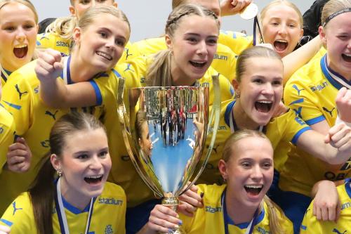 20240511 Fin SWEFIN 0607