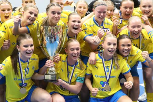 20240511 Fin SWEFIN 0608