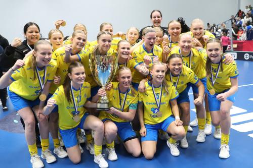 20240511 Fin SWEFIN 0609