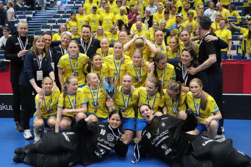 20240511 Fin SWEFIN 0610