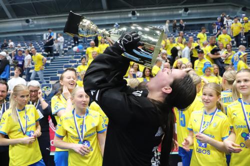 20240511 Fin SWEFIN 0620