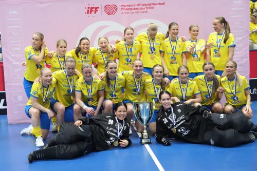 20240511 Fin SWEFIN 0622