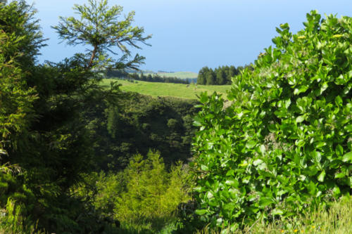 201805 Azores 0082