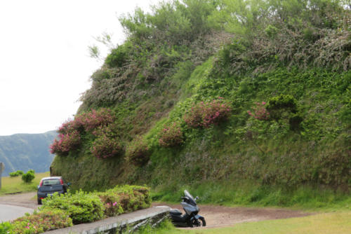 201805 Azores 0092