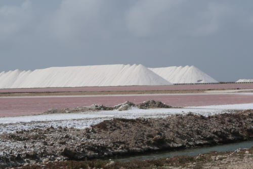 201807 Bonaire 0081