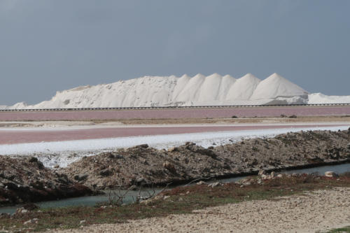 201807 Bonaire 0082