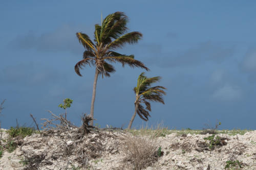 201807 Bonaire 0084