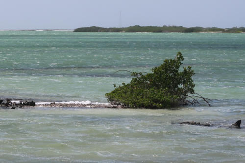 201807 Bonaire 0085