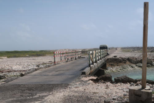 201807 Bonaire 0115