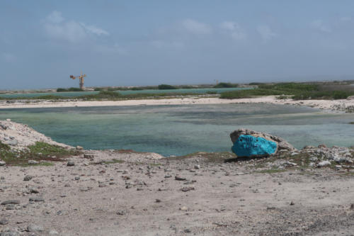 201807 Bonaire 0116