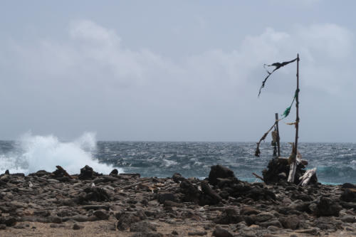 201807 Bonaire 0121