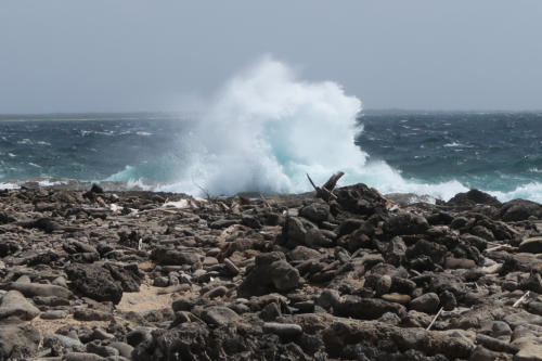 201807 Bonaire 0122