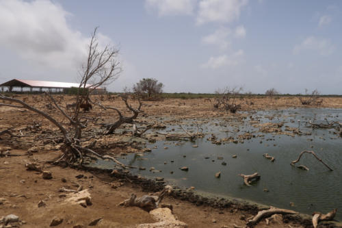 201807 Bonaire 0135