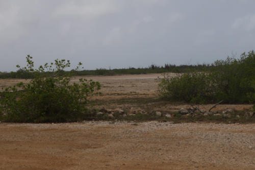 201807 Bonaire 0147