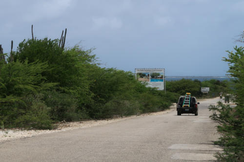 201807 Bonaire 0170