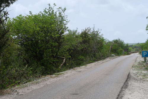 201807 Bonaire 0173