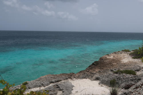 201807 Bonaire 0175