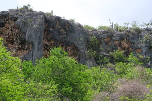 201807 Bonaire 0178