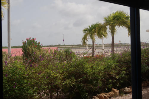 201807 Bonaire 0200