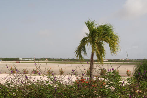 201807 Bonaire 0201