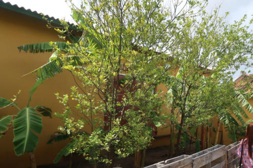 201807 Curacao 0092