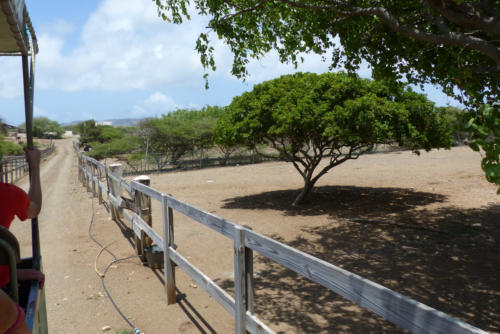 201807 Curacao 0336