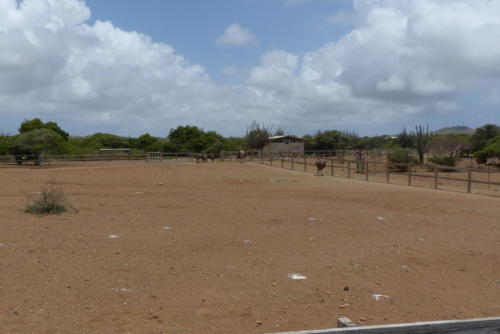 201807 Curacao 0345