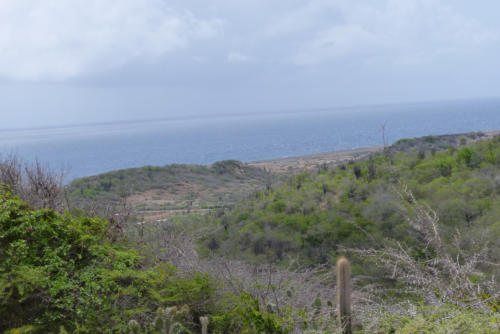 201807 Curacao 0454