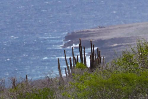 201807 Curacao 0456