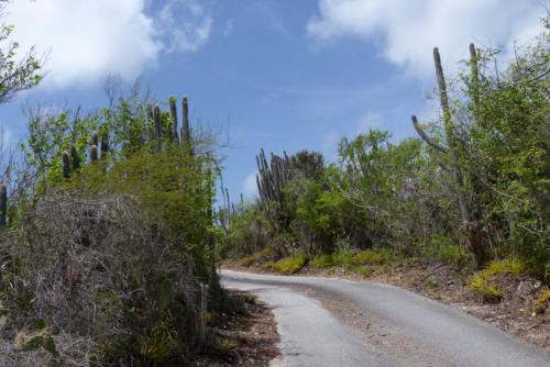 201807 Curacao 0463