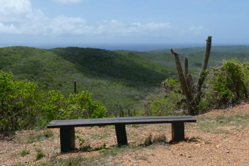 201807 Curacao 0474