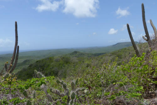 201807 Curacao 0477