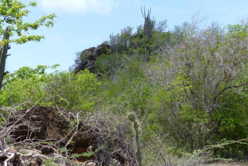 201807 Curacao 0484