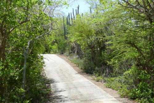 201807 Curacao 0488