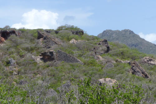 201807 Curacao 0501