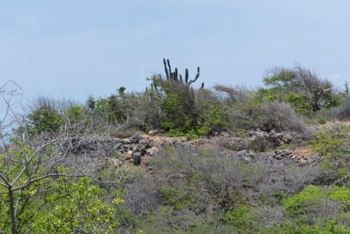 201807 Curacao 0502