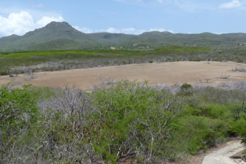 201807 Curacao 0505