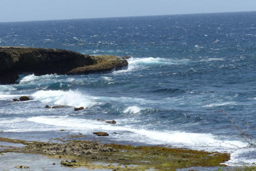 201807 Curacao 0508