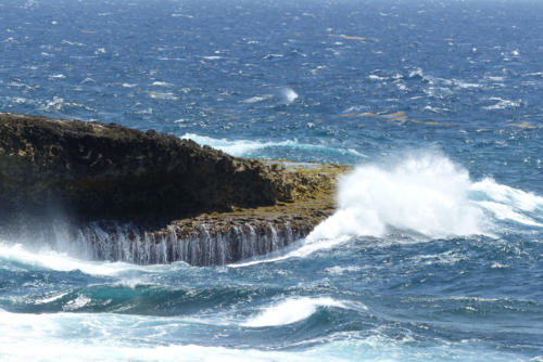 201807 Curacao 0510