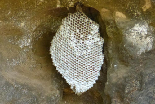 201807 Curacao 0528