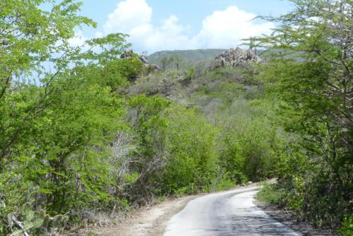 201807 Curacao 0536