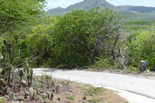 201807 Curacao 0537