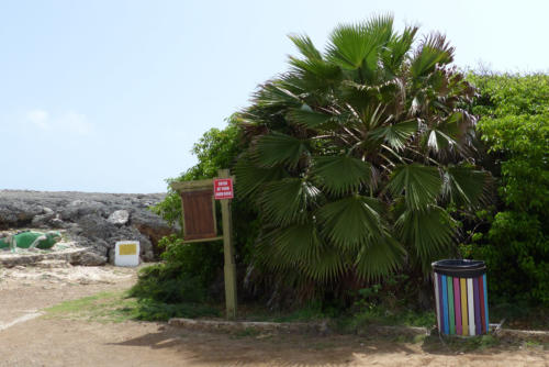 201807 Curacao 0545