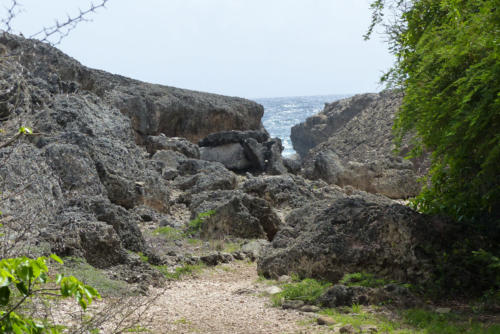 201807 Curacao 0547