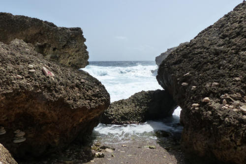 201807 Curacao 0550
