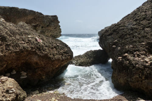 201807 Curacao 0551