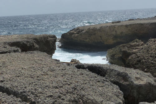 201807 Curacao 0559