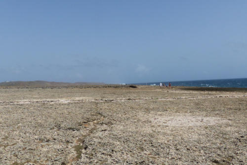 201807 Curacao 0560