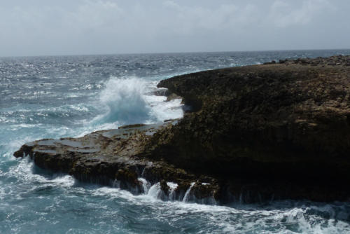 201807 Curacao 0564